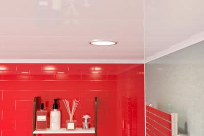 Multipanel Ceiling Panels